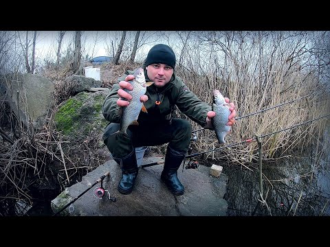 Видео: Пішла вода в хату! Тарань як керпичи, а судаки які! Дніпро сьогодні на роздачі!