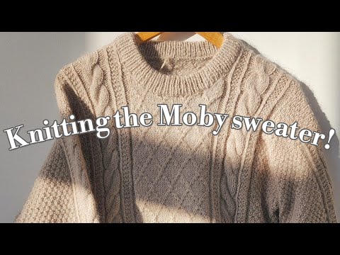 Видео: Я вяжу свитер «Моби»✨️ #petiteknit