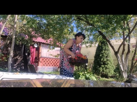 Видео: Как лучше построить навес? Купили картошку. Заготовки на зиму. Готовлю отбивные и лечо.