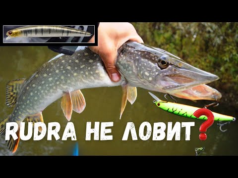 Видео: Почему не ловит Rudra 130 SP? Как разловить воблер Рудра 130?