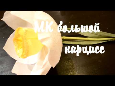 Видео: мк большой цветок, нарцисс
