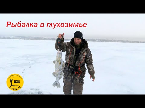 Видео: Вторая лунка и вот он судак.