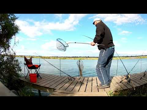 Видео: Днестр, Маяки. ловим коропа и карася.  Клевая поклевка крупным планом.  24.09.2022г.