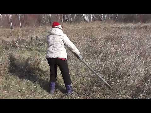 Видео: Сенокос зимой