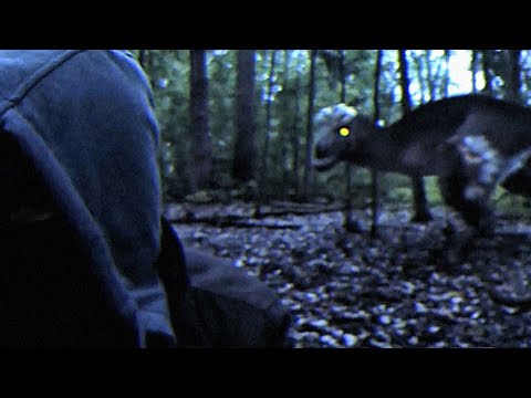 Видео: Оглянись назад