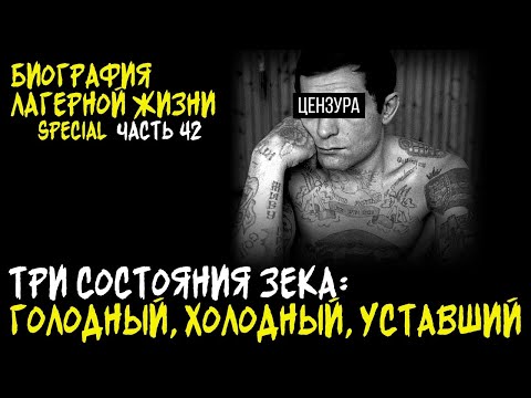 Видео: СДП - САМЫЕ ЗЛОБНЫЕ КОЗЛЫ В ЛАГЕРЕ / КРАСНАЯ ЗОНА - СТРОГИЙ РЕЖИМ / БИОГРАФИЯ