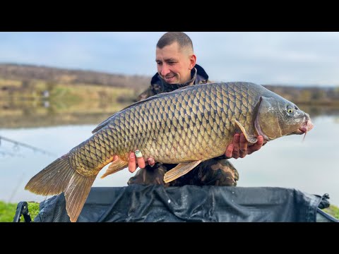 Видео: ПОЙМАЛ ЗОЛОТУЮ РЫБУ. ТРОФЕЙНАЯ РЫБАЛКА РАННЕЙ ВЕСНОЙ 2023 НА ДУБОВКЕ.