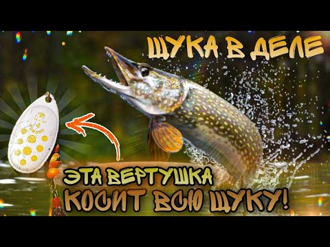 Видео: Ааа что творится!? Море ЩУКИ, куча ГРИБОВ. Эта вертушка КОСИТ рыбу