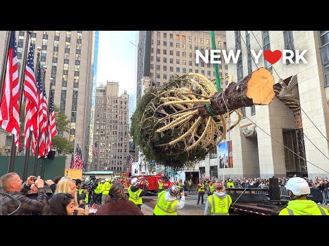 Видео: [4K] 🇺🇸 Установка рождественской елки в Рокфеллер-центре🎄 и праздничная атмосфера в Нью-Йорке. 2025