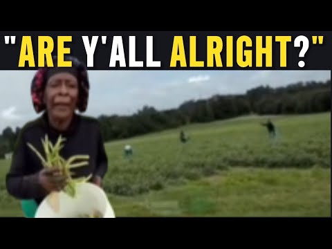 Видео: Современные рабы пойманы за работой на плантации во Флориде!!