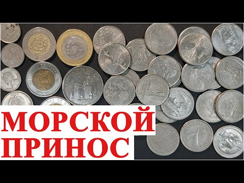 Видео: Закупка монет от моряка. Особенности от #ШКОБ🔥🔥🔥