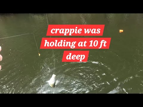Видео: Ловля краппи на глубине 10 футов