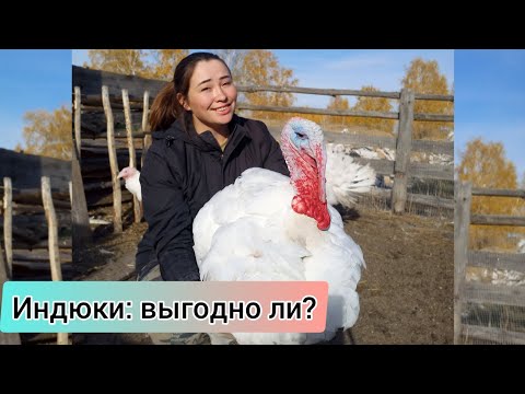 Видео: Индюки 2022: вспоминаем, считаем и делимся