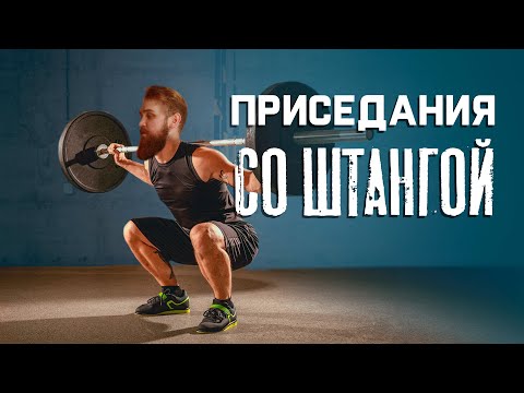 Видео: Приседания со штангой
