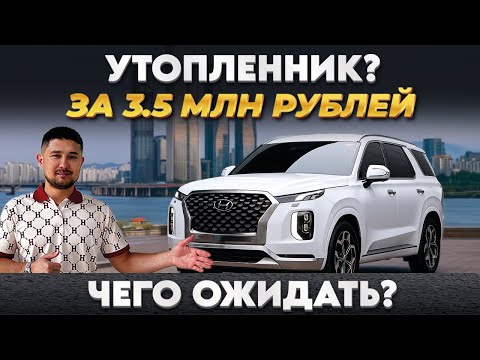 Видео: Ищем Hyundai Palisade за 3,5 млн - что нашли? Авто из Южной Кореи