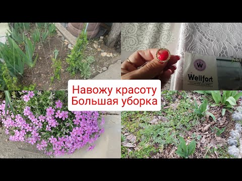 Видео: Привожу в порядок клумбы Часть2/Кошу траву/Скупилась в магните, скидки