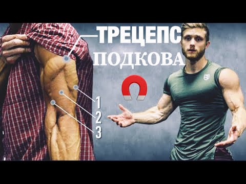 Видео: Как накачать ОГРОМНЫЙ ТРИЦЕПС ? (Делайте ЭТО каждую тренировку!) | Джефф Ниппард