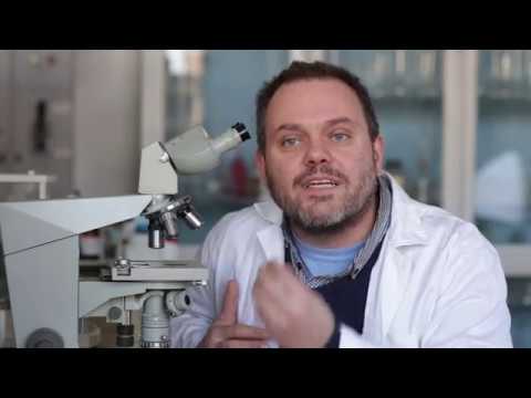 Видео: МОДУС ОПЕРАНДИ