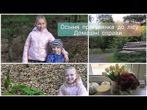 Видео: Vlog.🍂Домашні справи. Мотивація на прибирання 😍🍂 Осіння прогулянка до лісу🍂