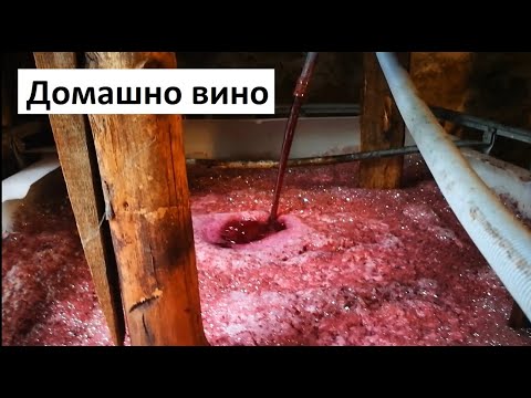 Видео: Как се прави домашно червено вино и Гроздобер