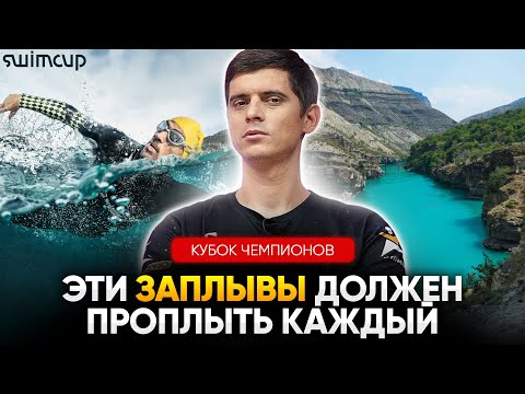 Видео: Эти заплывы - БАЗА для любого пловца! SwimCup / Кубок чемпионов