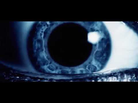 Видео: иван дорн - стыцамэн (только ты под индикой)//slowed + reverb