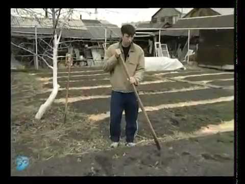 Видео: Робота плоскорізом Фокіна.