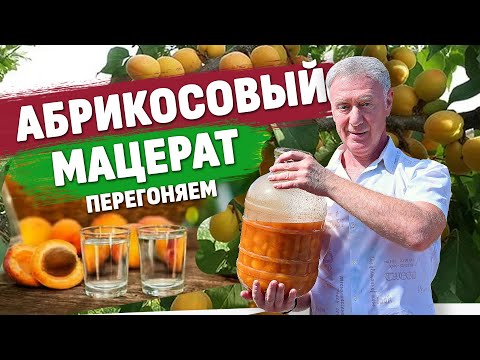 Видео: Абрикосовый мацерат. Часть вторая: отбираем аромат. Или фруктовая водка в домашних условиях