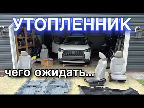 Видео: Чего ожидать от утопленника...