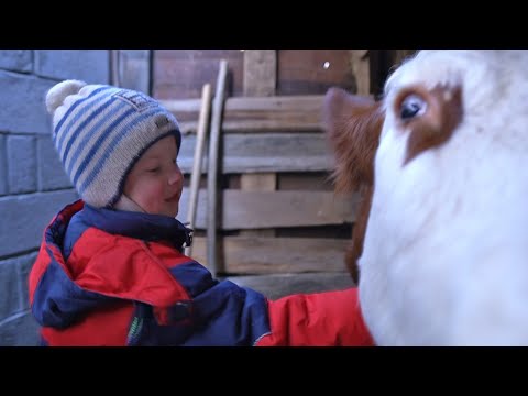 Видео: ОДИН ДЕНЬ В ДЕРЕВНЕ ЧУВАШИИ. ЗИМА.
