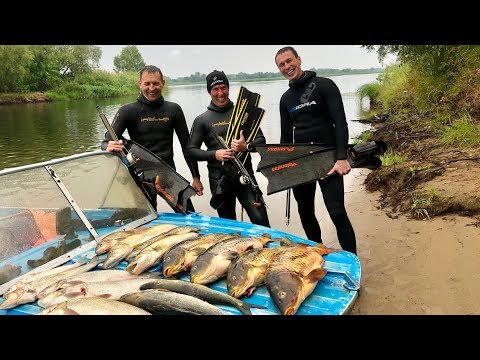 Видео: Подводная охота в Саратове. Видовое разнообразие Волги.