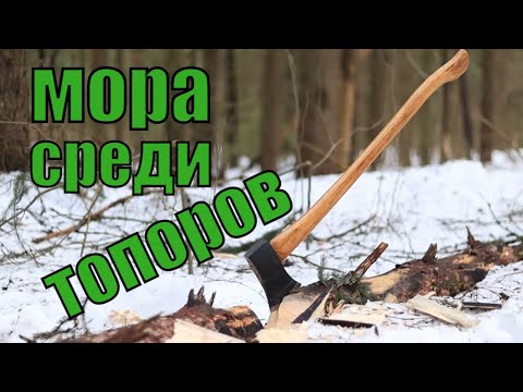 Видео: Лучшие бюджетные топоры для леса и бушкрафта I Truper Boys Axe