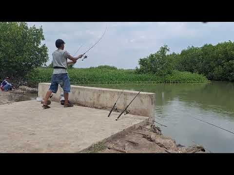 Видео: Видео о рыбалке | рыбалка, когда поднимается вода #рыбалка