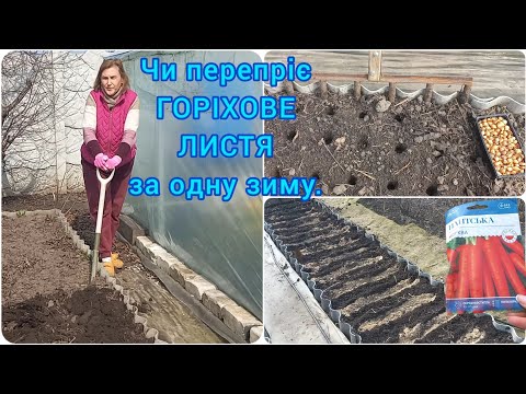 Видео: СІЮ МОРКВУ СУПЕР МЕТОДОМ🥕Саджаю Тиканку🧅ГОРІХОВЕ ЛИСТЯ🍂#город#посівморкви#компостгоріховоголистя#сад
