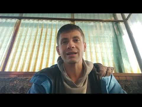 Видео: Ціна на мед. Коли продати мед з максимальною вигодою.