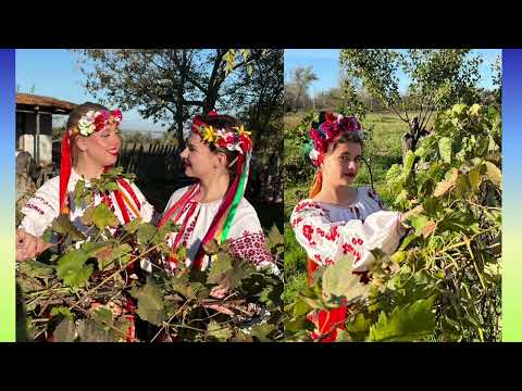 Видео: Зрима пісня Нікіруй