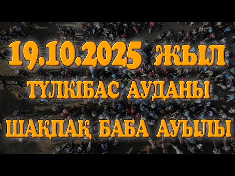 Видео: ТҮЛКІБАС АУДАНЫ ШАҚПАҚ БАБА АУЫЛЫ САЯТ МЫРЗАНЫҢ ЕЛДЕН БАТА АЛУ КӨКПАРЫ 19.10.2025ЖЫЛ ШАҚПАҚАТА