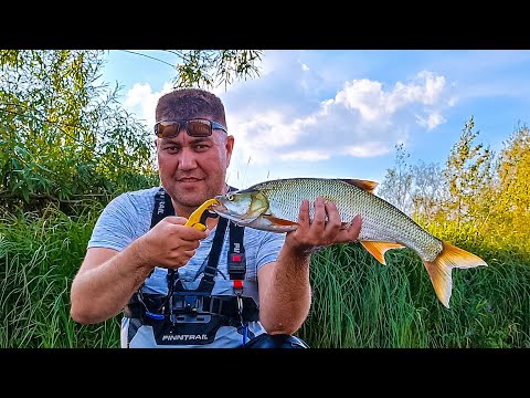 Видео: Это Новый Рекорд, настоящая Торпеда, рыбалка на спиннинг, река Уфа!!!