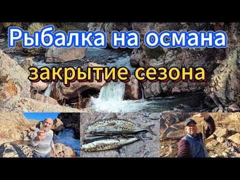 Видео: Рыбалка на османа Закрытие сезона.