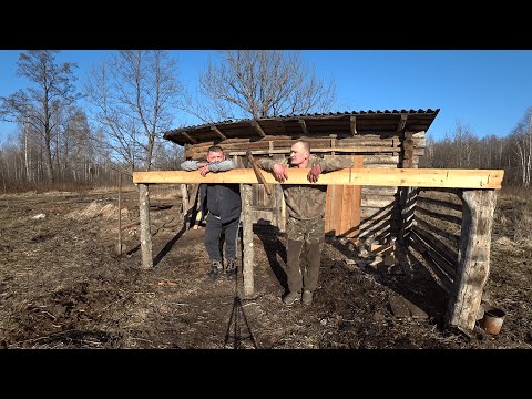 Видео: КУПИЛ ХУТОР в ЛЕСУ на КРАЮ БОЛОТА. ЧТО  ДЕЛАТЬ, КАК УБЕРЕЧЬ?!!! №187