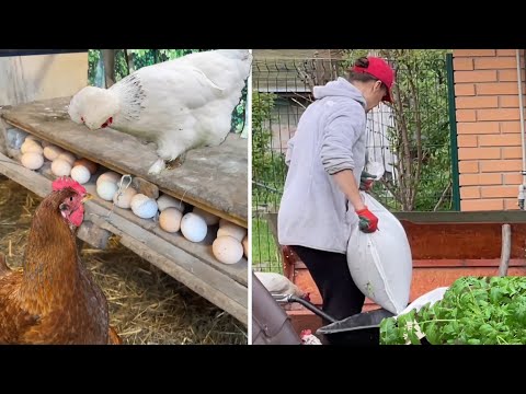 Видео: ЗАЧЕМ СТОЛЬКО МНОГО Не Все Сразу