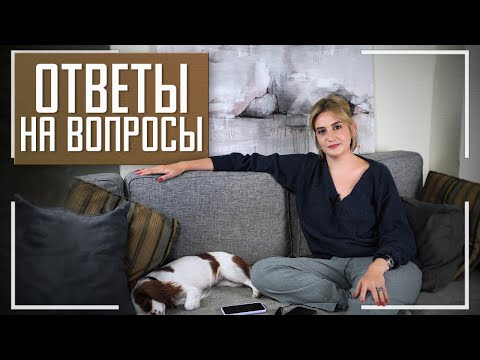 Видео: Работа, переезд, замужество, кот и собака. Отвечаю на ваши вопросы
