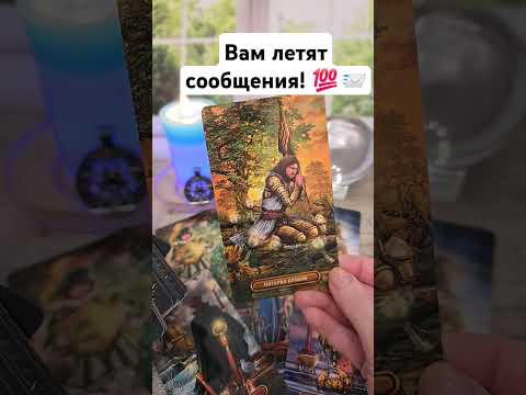 Видео: Вам летят сообщения! 📨🚀