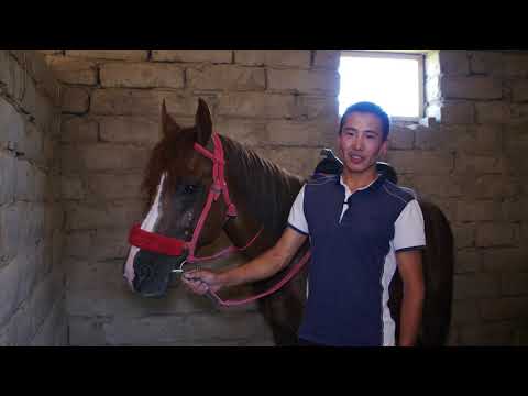 Видео: Бір ауылдың тарихы. Майдантал ауылдық округі