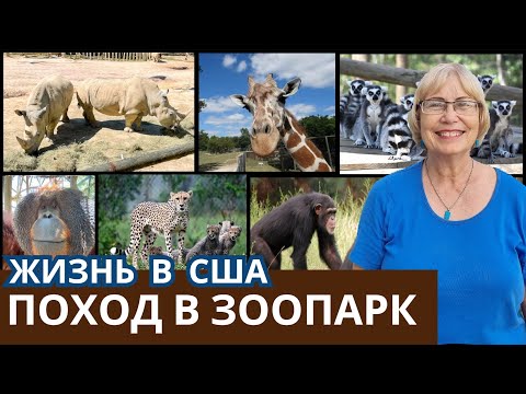 Видео: Жизнь в США. Поход в американский зоопарк. Наши впечатления о зоопарке в городе Ричмонд, Вирджиния.