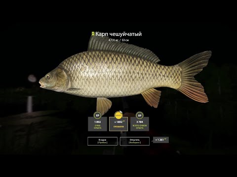 Видео: 🐟Карпа 4,7 кг, место для ловли #русскаярыбалка4 #russianfishing4 #рыбалка #трофей #карп #fishing