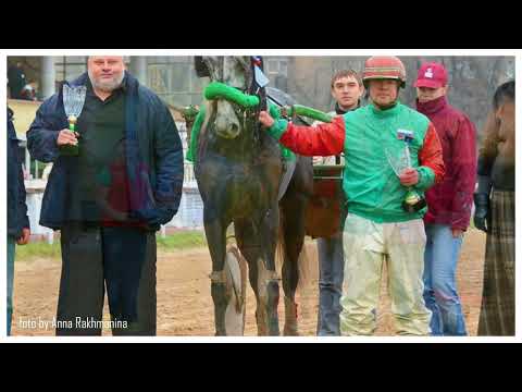 Видео: ЦМИ.Ипподром. Лучший наездник С.С.С.Р.Сезон-2025.ЧАСТЬ 9. А.А.Плессер.