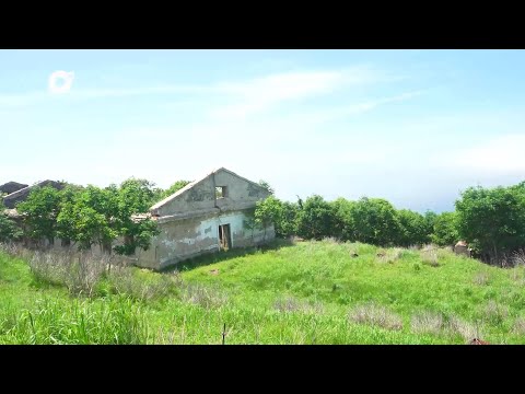 Видео: Два туриста / Остров Аскольд / 17.07.24