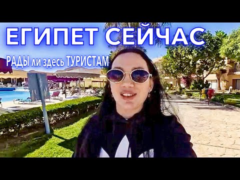 Видео: Египет 2024. ПОЧЕМУ 4 звезды⁉️Ali Baba Palace 4*. ПРОБЛЕМНОЕ ЗАСЕЛЕНИЕ. Территория Питание. Хургада