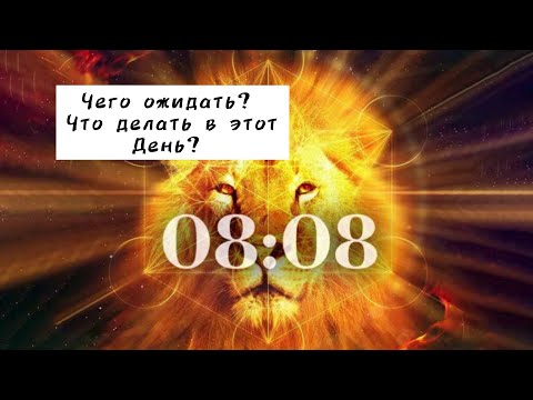 Видео: Врата льва 08.08 Что это за день? Что можно делать во врата льва?